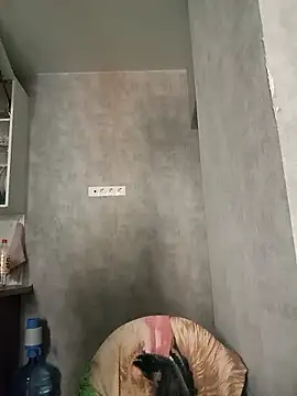 Snapshot of HapinessLovee chatting on March 22, 2026, 7:23 am HapinessLovee online show from March 22, 2026, 7:23 am