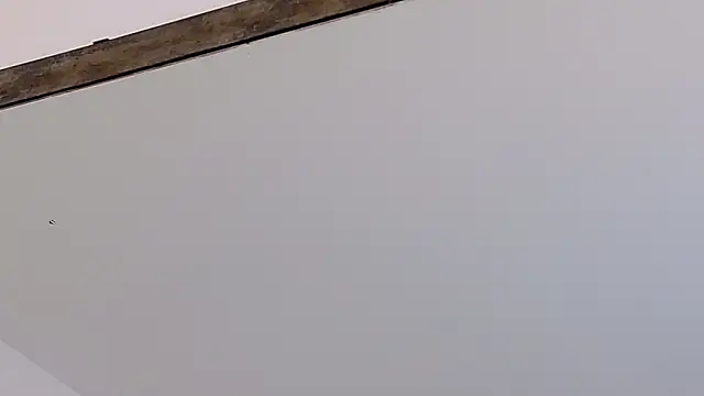 LucyHanks online show from February 23, 2026, 3:42 pm