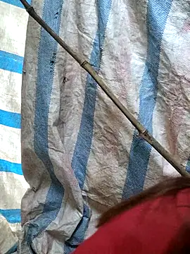 Snapshot of mit0-77 chatting on February 15, 2026, 12:51 am mit0-77 online show from February 15, 2026, 12:51 am