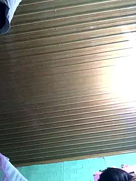 Pege-nii online show from January 15, 2026, 10:42 am