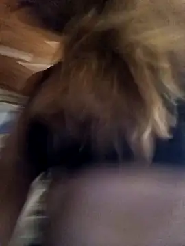 Snapshot of cari75 chatting on February 3, 2026, 2:53 am cari75 online show from February 3, 2026, 2:53 am