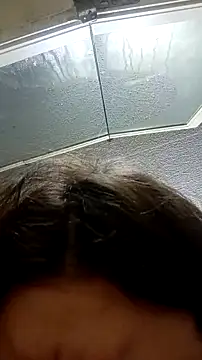 Snapshot of Justis88 chatting on January 14, 2026, 12:11 pm Justis88 online show from January 14, 2026, 12:11 pm