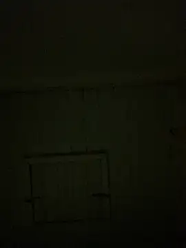 reckless 34 online show from February 7, 2026, 11:52 pm