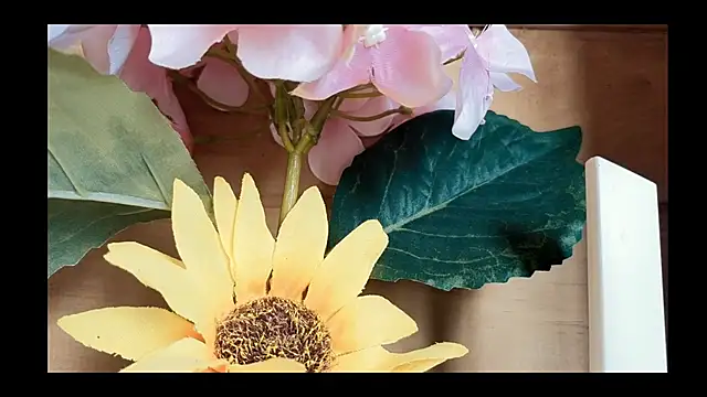 Snapshot of vickvalencia2 chatting on May 4, 2026, 1:40 pm vickvalencia2 online show from May 4, 2026, 1:40 pm