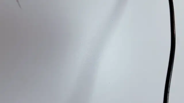 Snapshot of _nannan_ chatting on December 21, 2025, 1:29 pm nannan online show from December 21, 2025, 1:29 pm