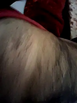 Snapshot of aman4404 chatting on February 20, 2026, 9:00 am aman4404 online show from February 20, 2026, 9:00 am