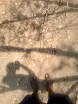 rejxcg- online show from April 21, 2026, 8:20 am