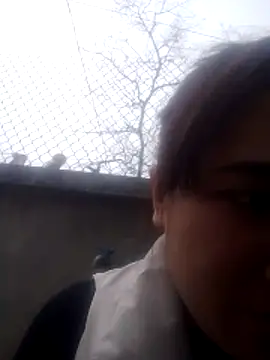 Belinda-686 online show from February 12, 2026, 7:36 am