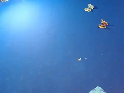 Snapshot of sk8-boy chatting on December 18, 2025, 1:39 pm sk8-boy online show from December 18, 2025, 1:39 pm