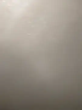 Camellia-Pink online show from March 16, 2026, 6:17 am