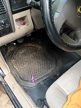 Snapshot of PIGHIGHDIRTY_p0 chatting on February 20, 2026, 9:04 pm PIGHIGHDIRTY p0 online show from February 20, 2026, 9:04 pm