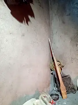 Snapshot of yula-bi chatting on February 24, 2026, 12:14 pm yula-bi online show from February 24, 2026, 12:14 pm