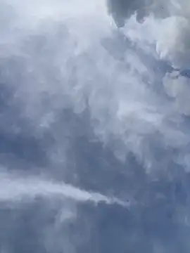 Ema Rose  online show from April 18, 2026, 9:48 pm