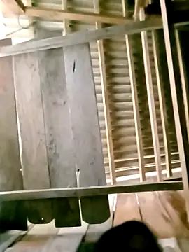 Snapshot of DIANAKUTE chatting on March 8, 2026, 3:32 am DIANAKUTE online show from March 8, 2026, 3:32 am