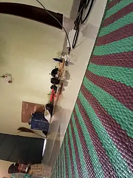 Ranuvabi online show from April 28, 2026, 10:09 am