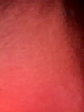 congchua977 online show from February 5, 2026, 11:26 am