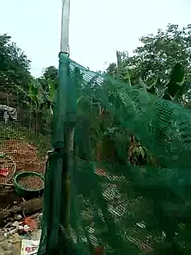 Snapshot of congchua977 chatting on March 2, 2026, 2:58 am congchua977 online show from March 2, 2026, 2:58 am