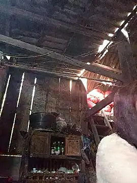 dakota-kis online show from January 19, 2026, 1:20 am