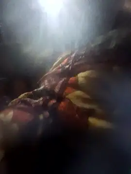 Snapshot of Couples9090 chatting on January 10, 2026, 3:58 pm Couples9090 online show from January 10, 2026, 3:58 pm