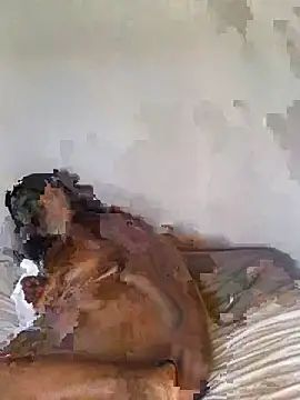 babepear online show from February 25, 2026, 6:34 am