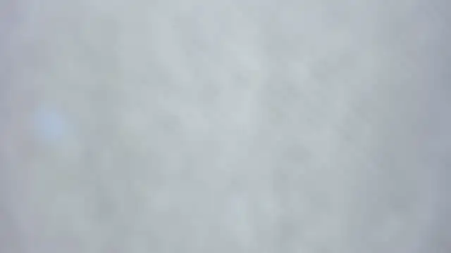 kiyoko yun online show from April 3, 2026, 7:39 am