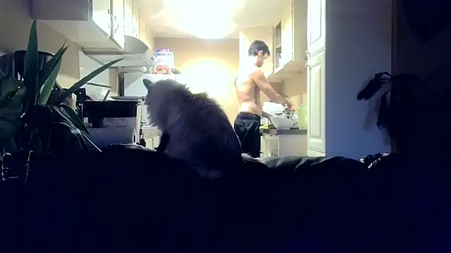 skateboardskate online show from January 16, 2026, 12:14 am