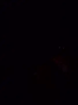 laperracobarde online show from January 13, 2026, 5:07 pm