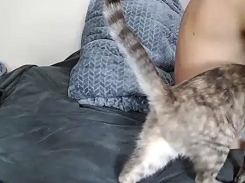 Snapshot of chris_aitrix chatting on January 8, 2026, 10:45 pm chris aitrix online show from January 8, 2026, 10:45 pm