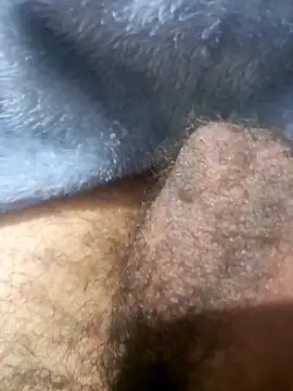 Snapshot of So1sh chatting on January 16, 2026, 2:48 am So1sh online show from January 16, 2026, 2:48 am