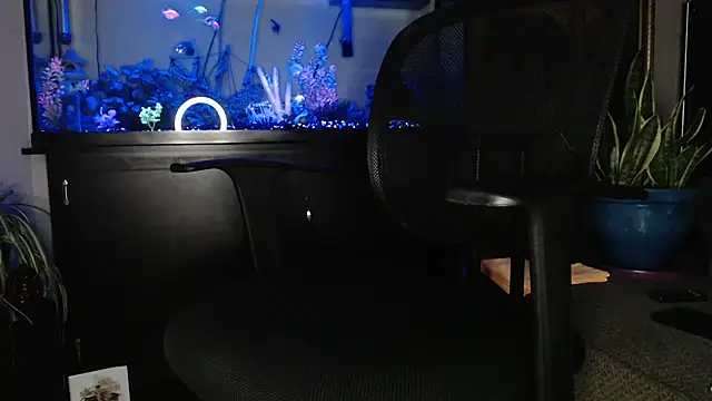 Snapshot of EspanolVato chatting on May 6, 2026, 9:36 am EspanolVato online show from May 6, 2026, 9:36 am