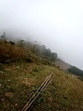 him220 online show from February 15, 2026, 1:02 am