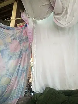 Piu 18 online show from February 21, 2026, 7:31 am