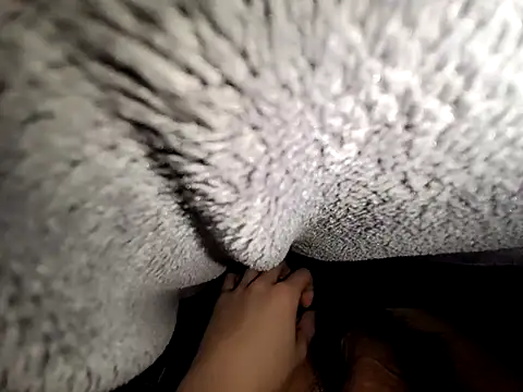 pelseae3721 online show from February 12, 2026, 2:01 pm