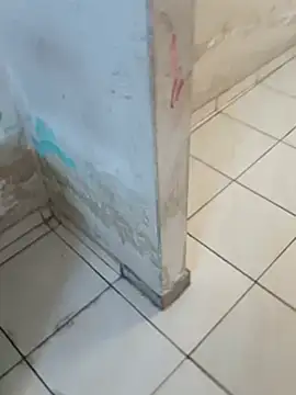     gozada---- online show from January 8, 2026, 6:43 pm