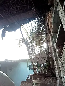 Hasmi hot09 online show from March 2, 2026, 2:03 am