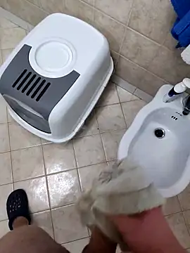 Manu53y online show from February 8, 2026, 4:54 pm