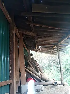 Snapshot of feli-00 chatting on January 10, 2026, 2:02 am feli-00 online show from January 10, 2026, 2:02 am