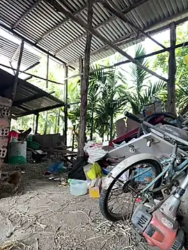 Ginny 2x online show from January 18, 2026, 4:27 am