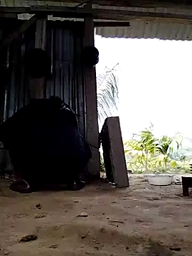 Snapshot of Ginny_2x chatting on March 16, 2026, 4:07 am Ginny 2x online show from March 16, 2026, 4:07 am