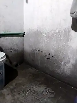 waaini99 online show from February 25, 2026, 12:20 am