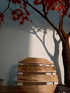 Dante Knox online show from March 26, 2026, 11:21 pm