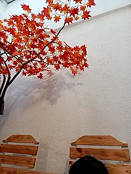 Dante Knox online show from April 5, 2026, 11:18 am