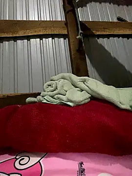 Xo xo237 online show from January 12, 2026, 1:55 am