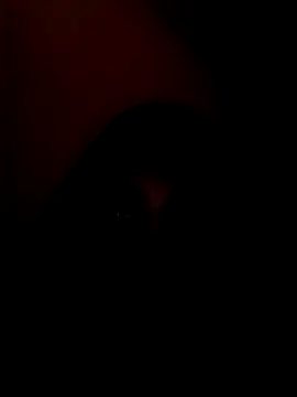 arushi bb online show from January 15, 2026, 3:38 pm