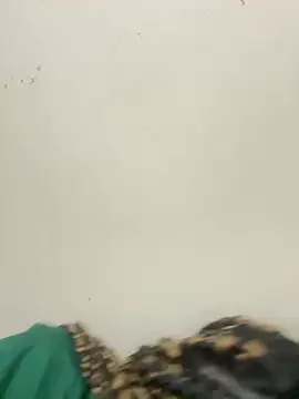 Snapshot of diosa_sofia19 chatting on April 6, 2026, 2:31 am diosa sofia19 online show from April 6, 2026, 2:31 am