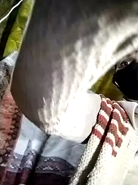 Ahilyalodhi online show from January 12, 2026, 9:42 pm