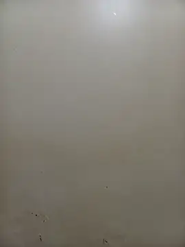 PatriciaVen online show from February 4, 2026, 5:02 am