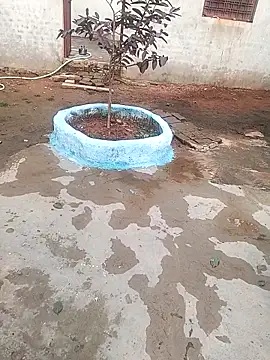 Snapshot of CUTE_khusabi chatting on January 18, 2026, 6:28 am CUTE khusabi online show from January 18, 2026, 6:28 am