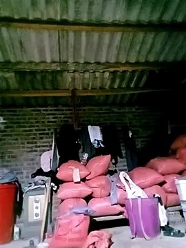 Diana-02 online show from April 4, 2026, 11:51 am