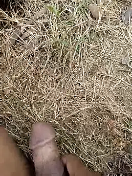 Snapshot of ankit_barma009 chatting on February 3, 2026, 9:03 am ankit barma009 online show from February 3, 2026, 9:03 am